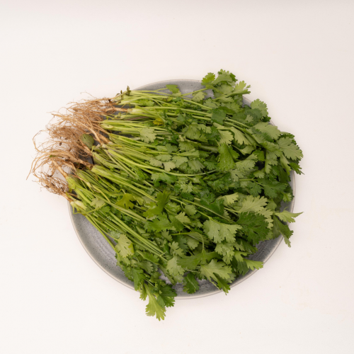 V21. ជីវ៉ាន់ស៊ុយ 1pack