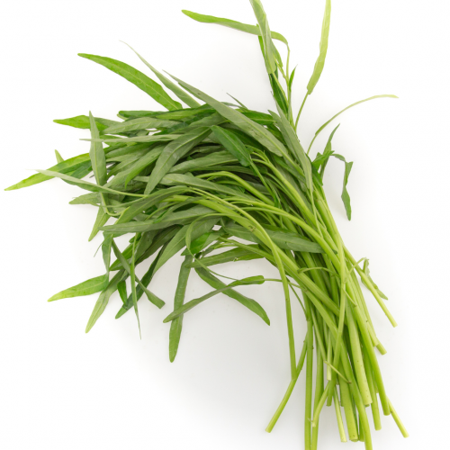 V32. ត្រកួន 1pack