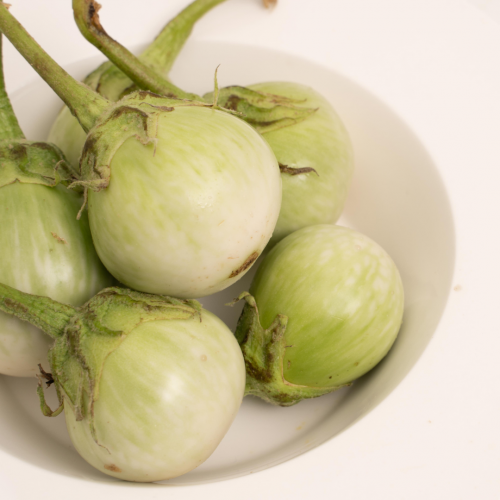 V41. ត្រប់ស្រួយ 1pack