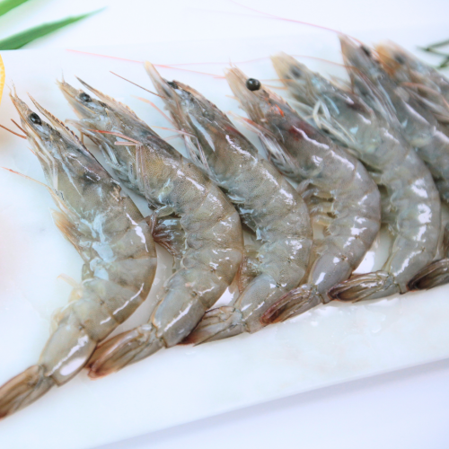 SE01-04. បង្គារ 4050 2kg