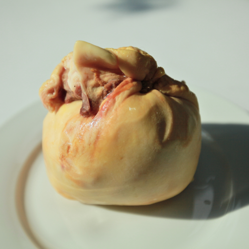 CW11. ថង់ទឹកប្រមាត់តូច 1ea