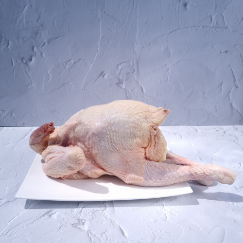 CK04. មាន់ស្វិត 1ea