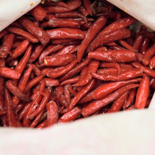 V02. ម្ទេសស្រស់ 1kg