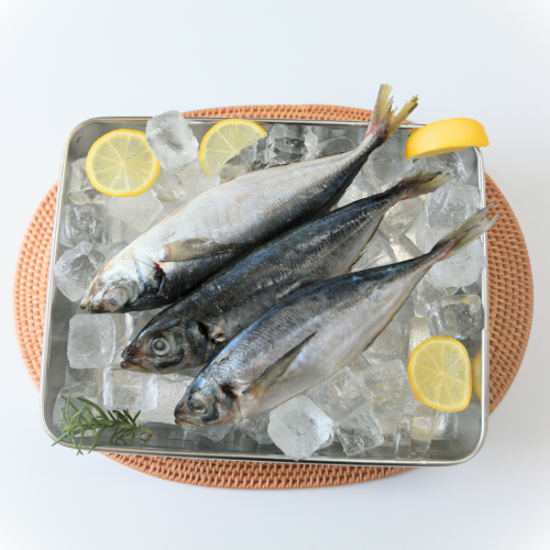 SE03. ត្រី កាម៉ុង 1kg