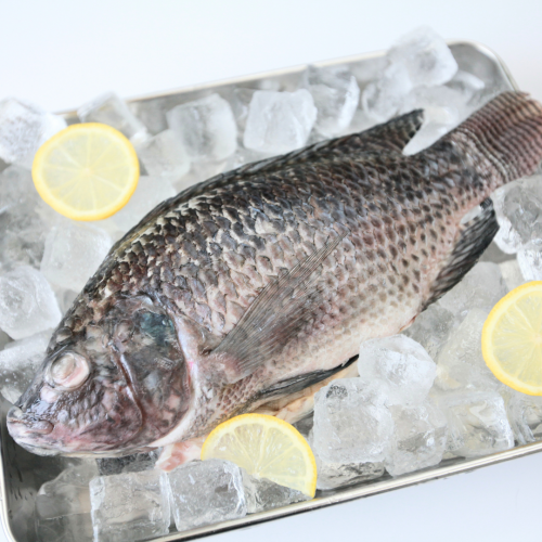 SE06. ត្រីឡាប់យា 1pack