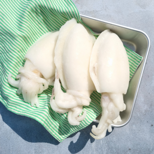 SE12. មឹកស្នូកធំ ★BIG★ 1pack